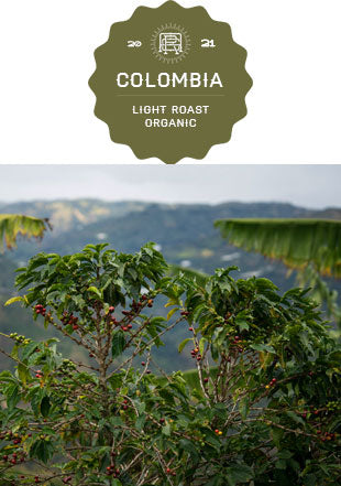 Colombia Nariño Alianza Organic