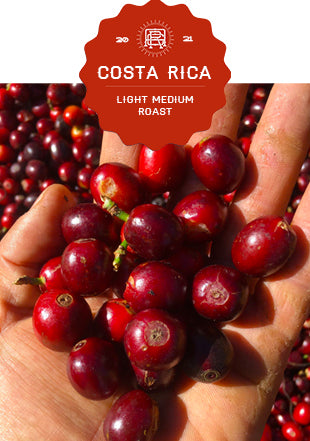 Costa Rica Finca Amistad Organic