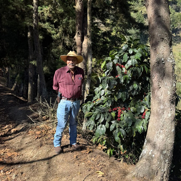 Guatemala La Bendicion