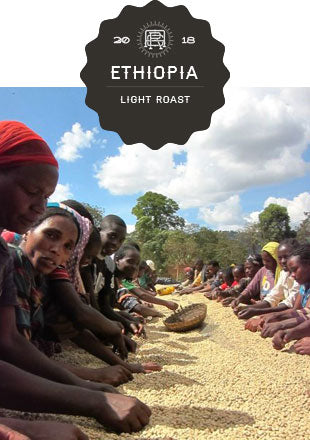 Ethiopia Sidama Titira Organic