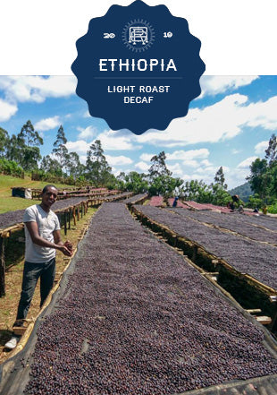 Ethiopia Natural Sidama Swiss Water Decaf